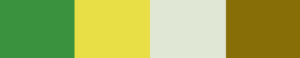 elections palette